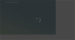 Desktop Screenshot of nielseninfo.com